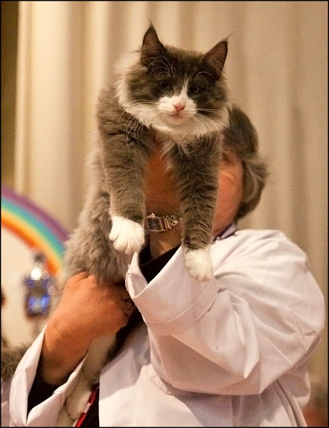 West de Tsavo 4.jpg - West de Tsavo